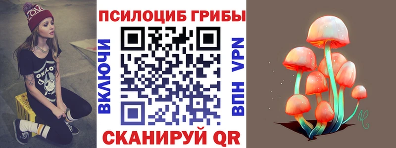 kraken зеркало  Кедровый  Галлюциногенные грибы MAGIC MUSHROOMS 